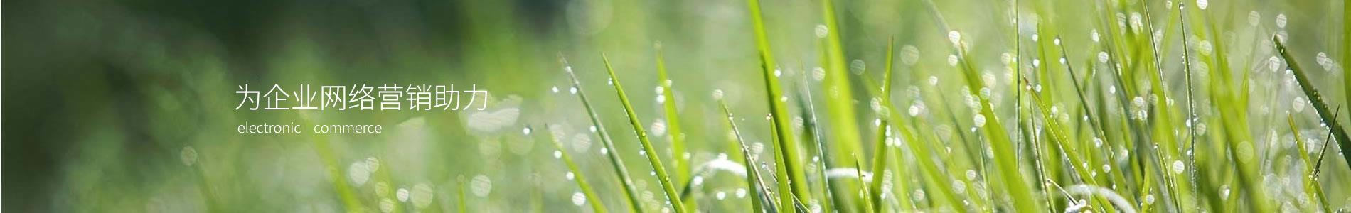 ݸмѳɻƼ޹˾